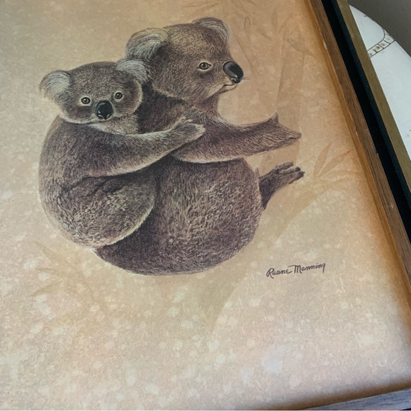 Vintage koala framed print - Picture 2 of 10